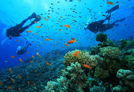 images (2)
